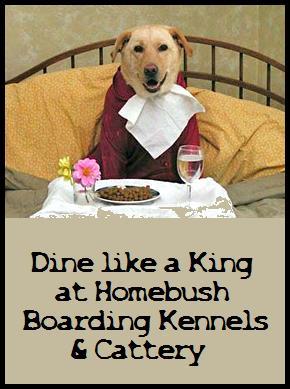 Homebush Boarding Kennels & Cattery - Cover photo