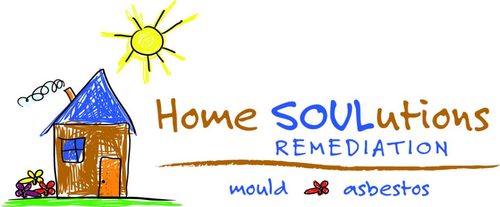 Home SOULutions Remediation &a;Restorations - Logo