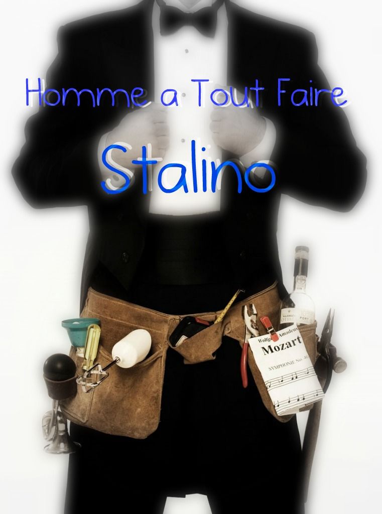 Homme à Tout Faire Starnino - Logo