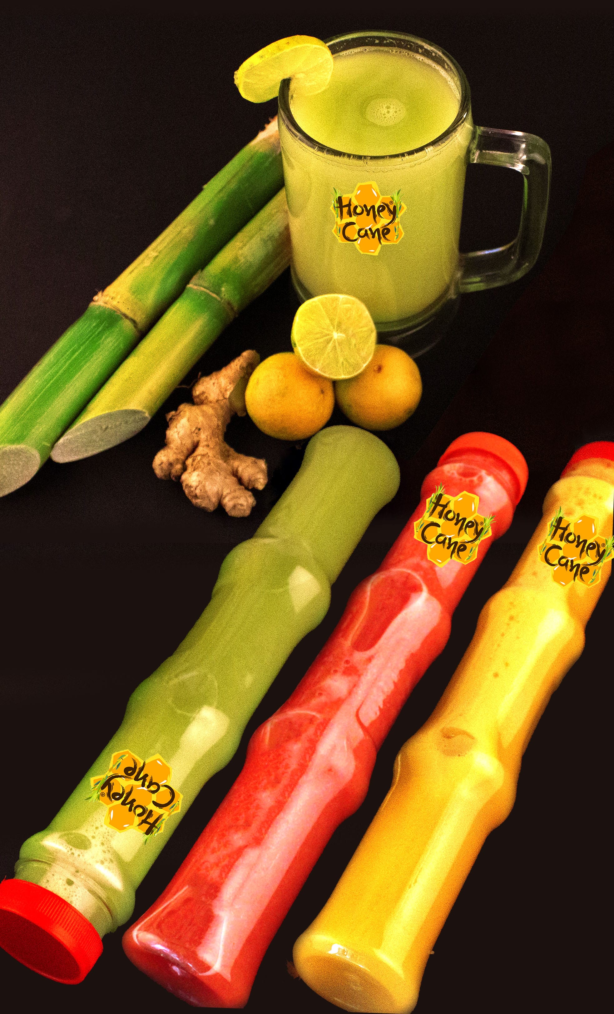 Honey Cane - Logo