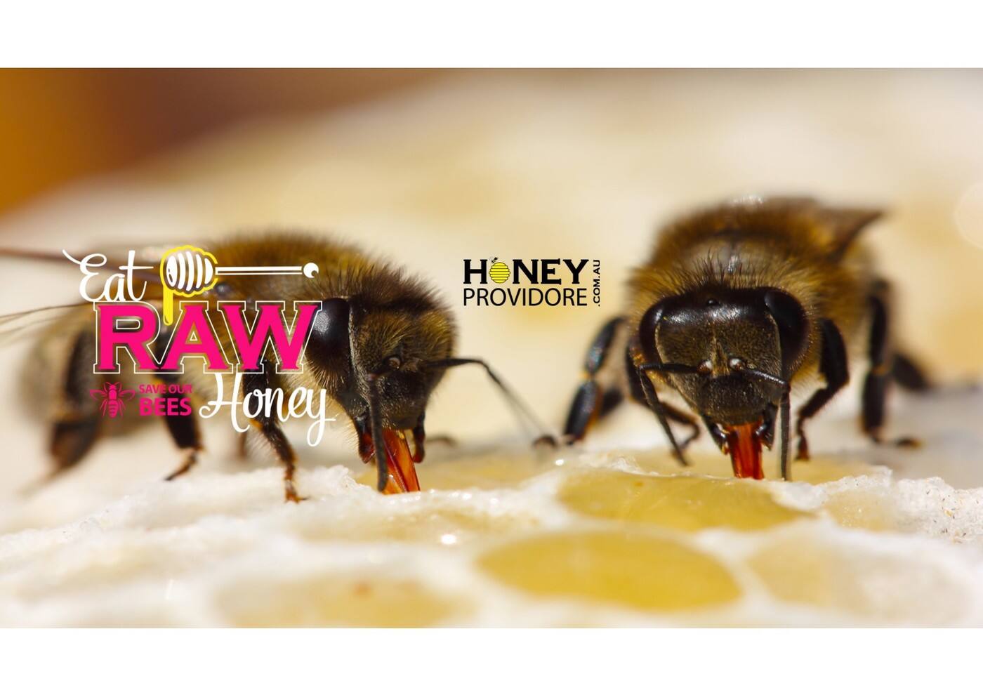 Honey Providore - Logo