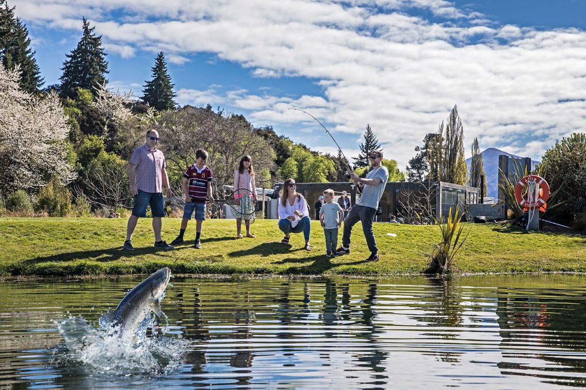 Hook Wanaka - Logo