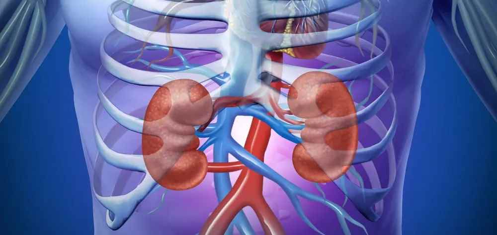 Hope Kidney Care - Cover photo