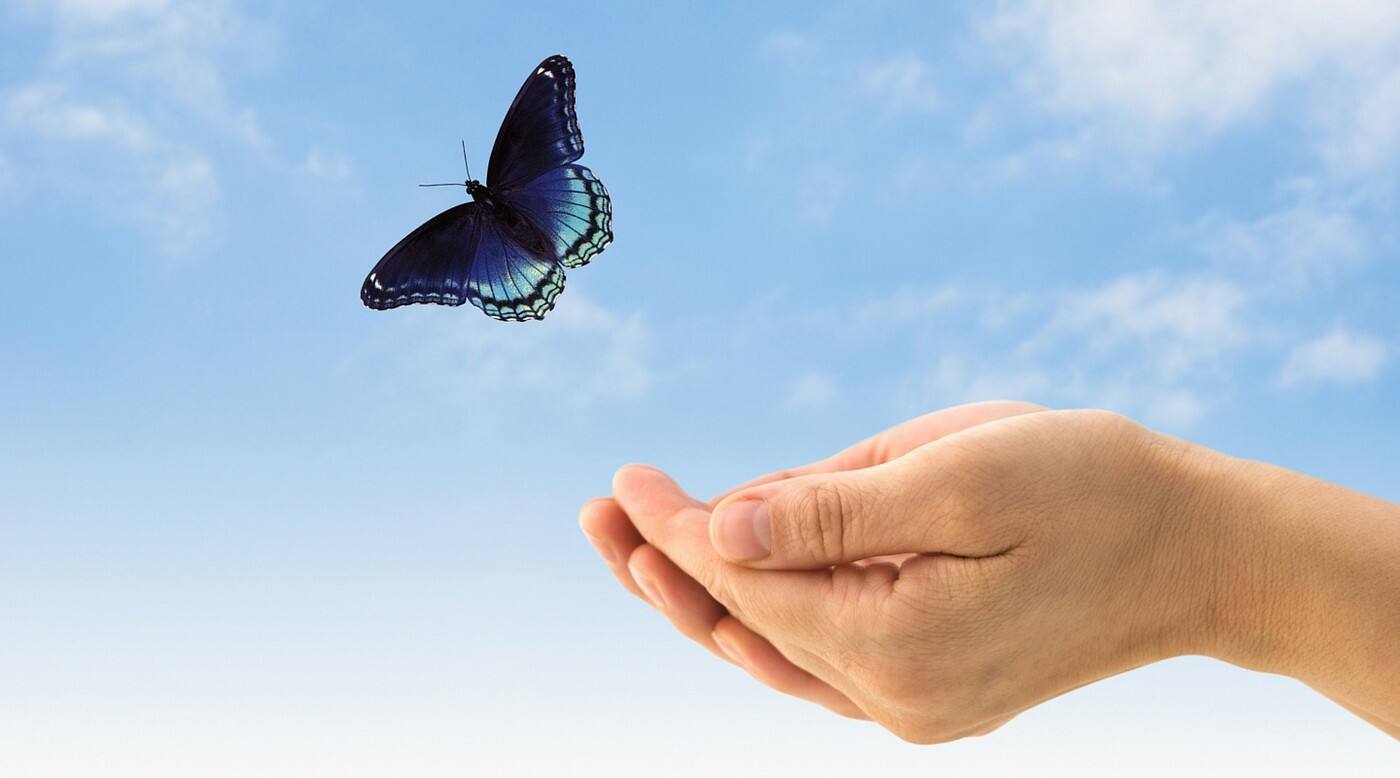 Hope Naturopathic Clinic - Logo