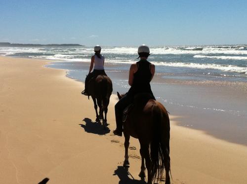 Horse About Tours - Cover photo