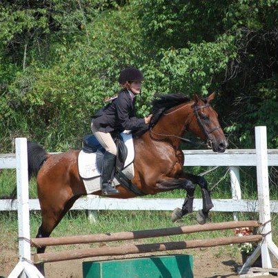 Horse Sence Training &a; Petting Zoo - Cover photo