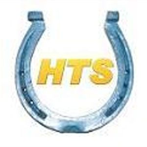 Horseshoe Tax &a; Bookkeeping Services - Logo