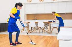 House Cleaning & Sanitation Servi - Logo