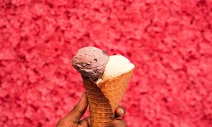 House Of Icecreams - Logo