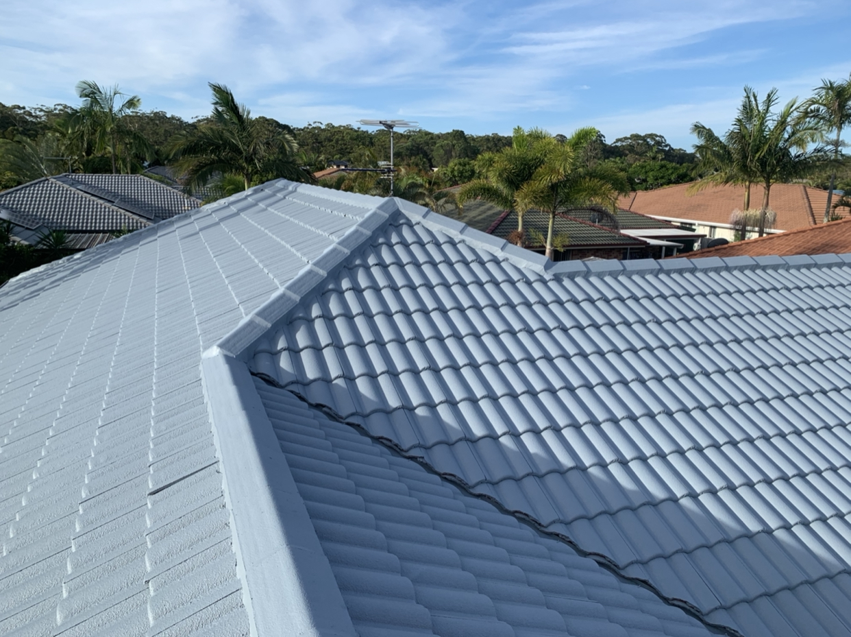 House & Roof Painting & Restorations - Logo