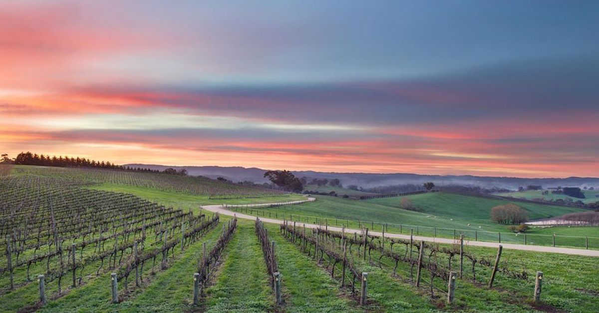 Howard Vineyard Cellar Door & Restaurant - Logo