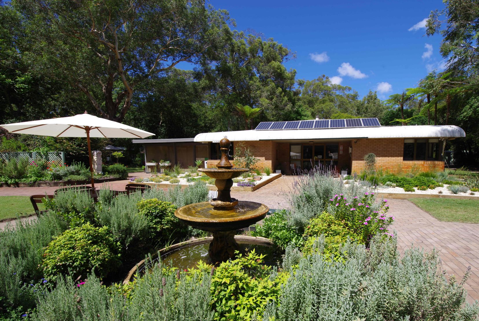 Hunter Region Botanic Gardens - Logo