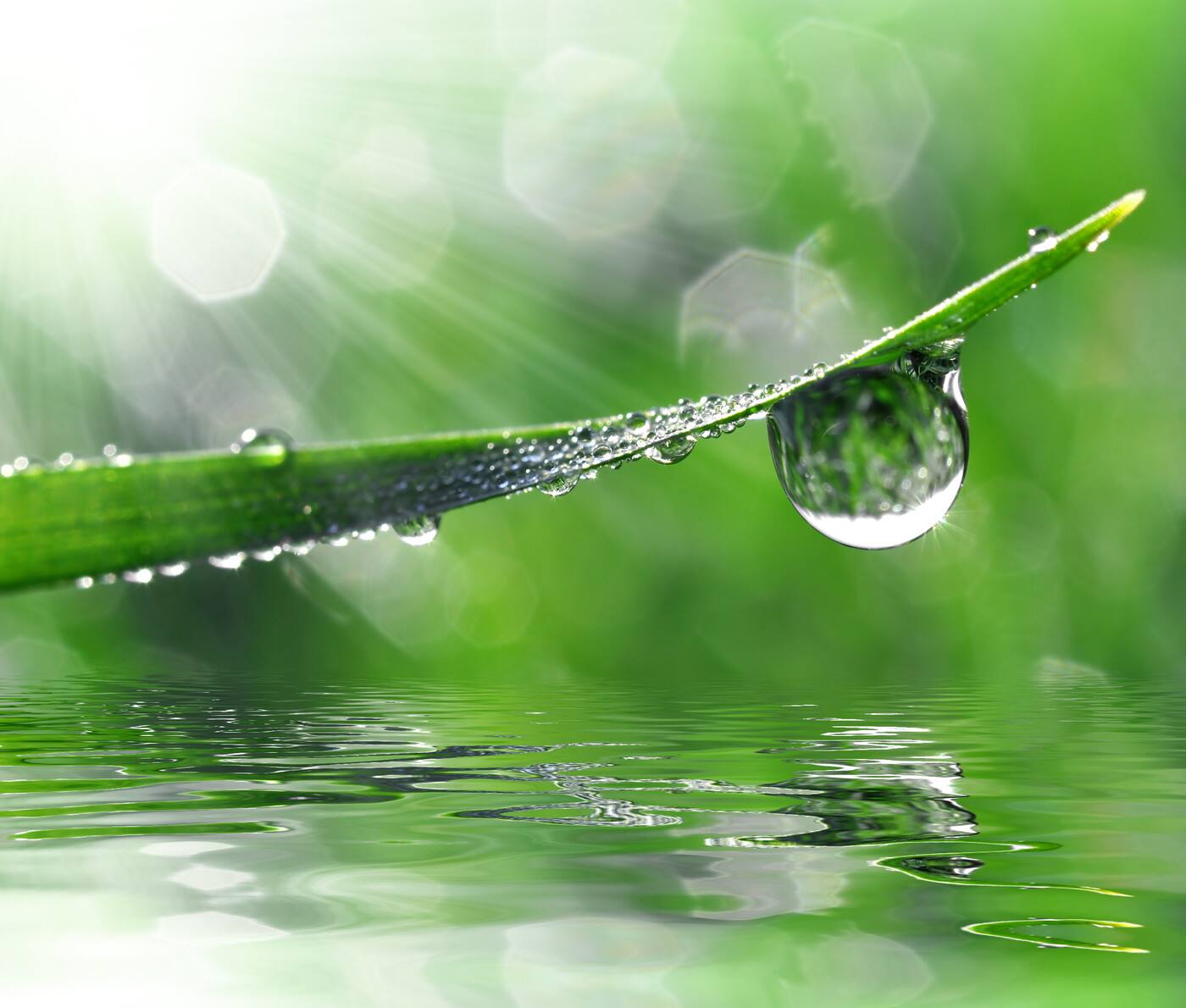 Huntley Irrigation - Cover photo