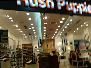 Hush Puppies - Cover photo