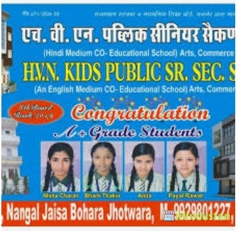 H V N Public Sr.sec. School - Logo