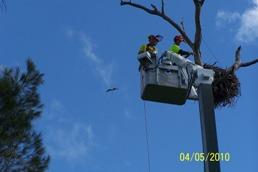 Hyer Access Tower Service - Logo