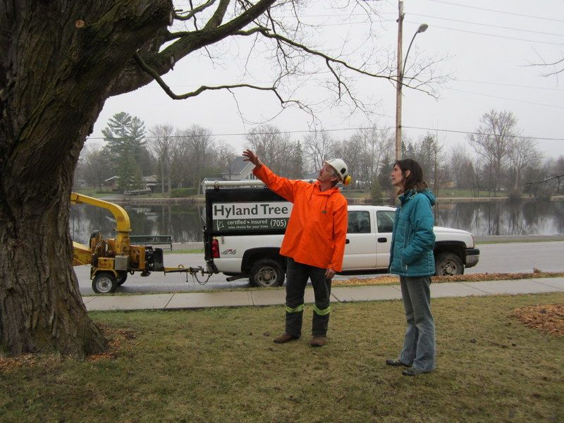 Hyland Tree Care - Cover photo
