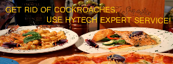 Hytech Expert Services - Logo