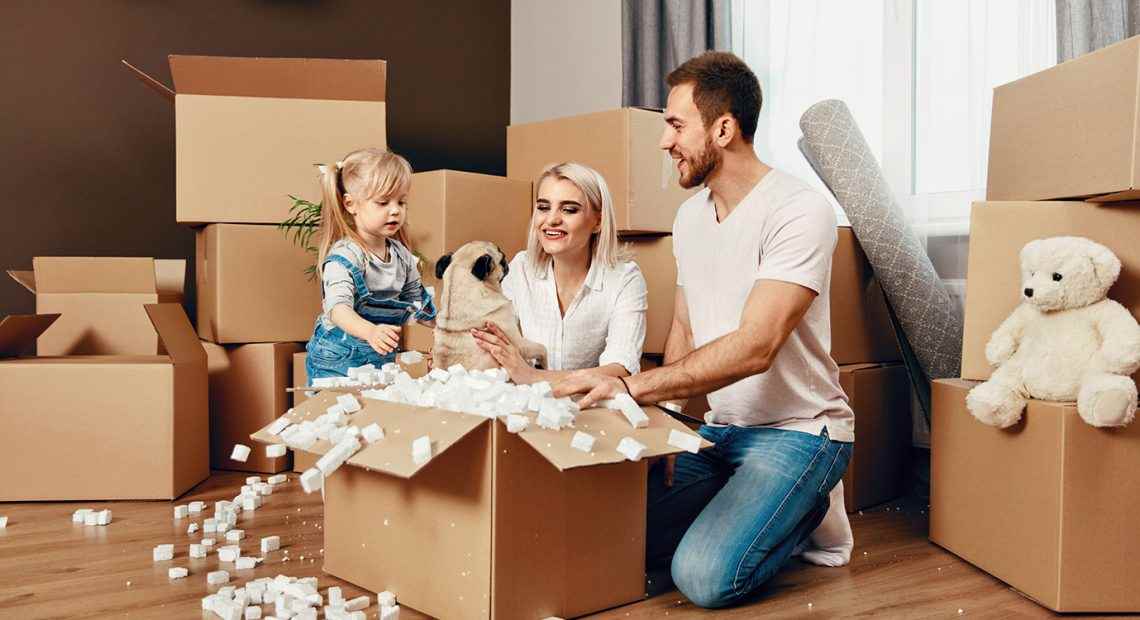 Iba Packers And Movers - Cover photo