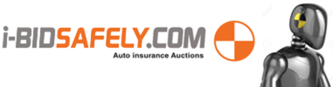 ibidsafely inc - Logo