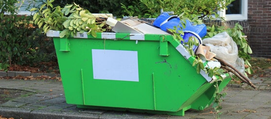 IBS Skip Bins - Logo