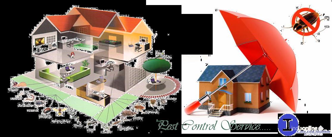 I Care Pest Solution - Cover photo