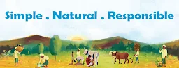 Iceberg Organic Icecreams by EatFit - Logo
