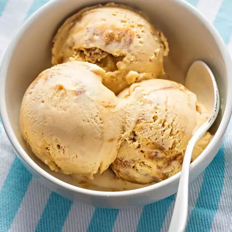 ICEBERG ORGANIC ICECREAMS - Logo