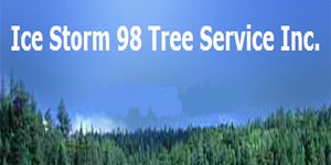 Ice Storm 98 Tree Service Inc - Logo