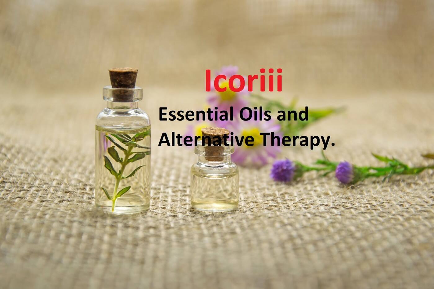 Icoriii - Cover photo
