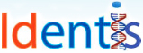 Identis Tech Solutions - Logo
