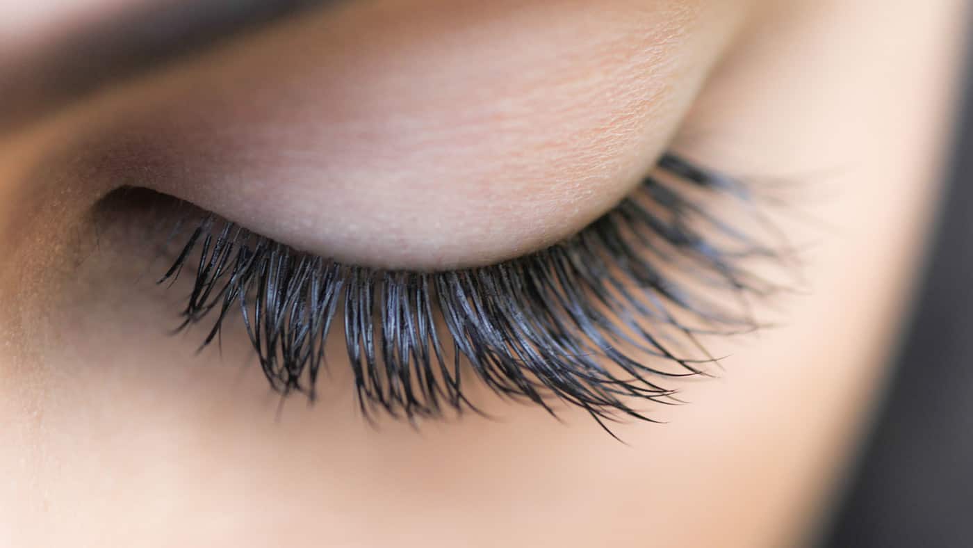 I Lash Out - Cover photo