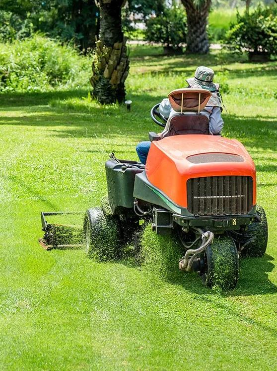 Illawarra Lawn & Garden Care - Logo