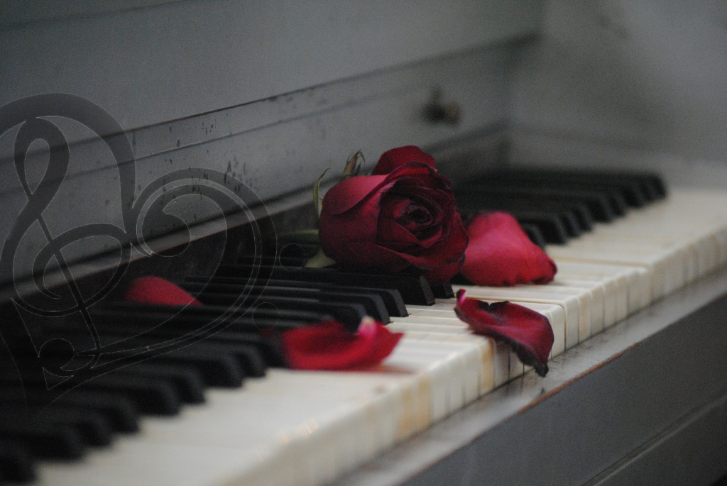 Imagine Music Studio - Logo