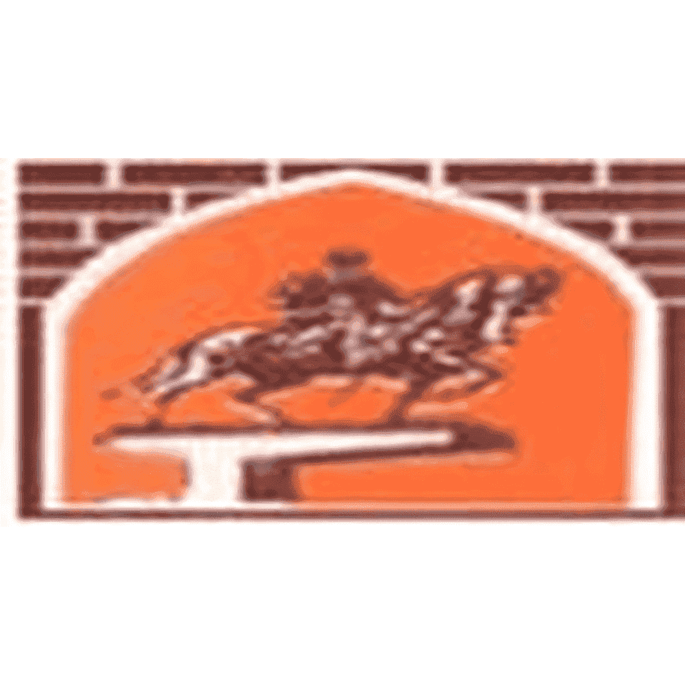IMCS Pune (IMCS PUNE) - Logo
