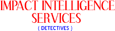 Impact Intelligence Services - Logo