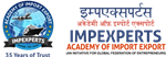 Imp Experts - Logo