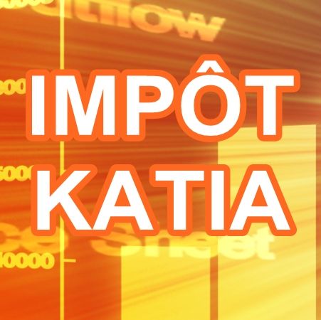 Impôt Katia - Logo