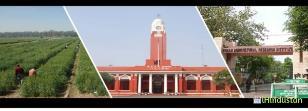 Indian Agricultural Research Institute - Logo