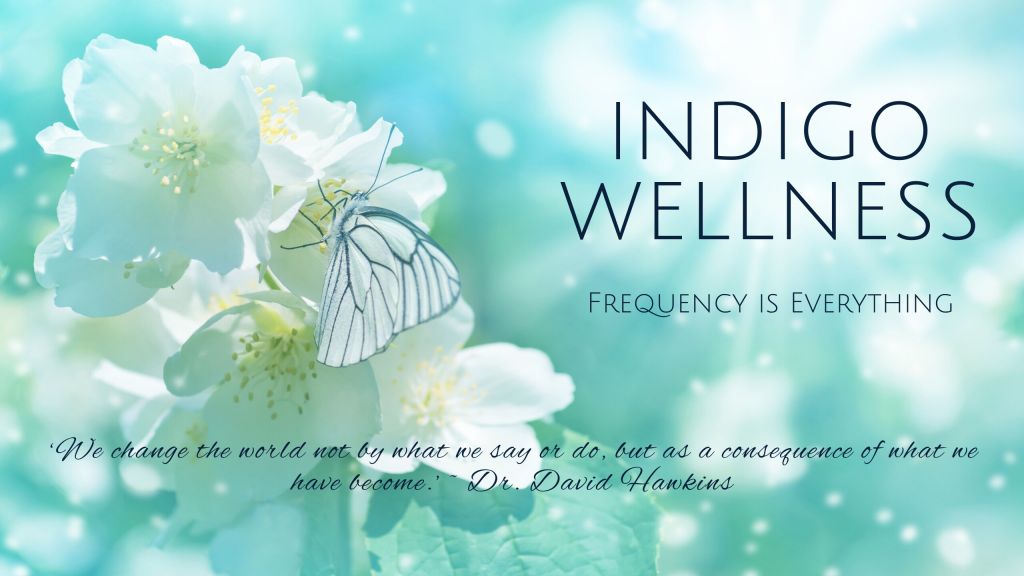 Indigo Wellness Centre - Logo
