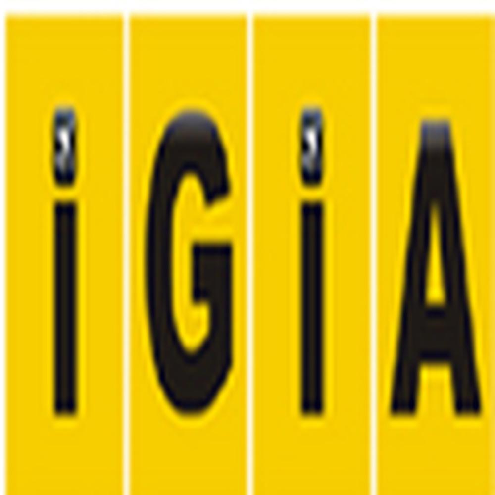 Indira Gandhi Institute of Aeronautics (IGIA), Chandigarh - Logo