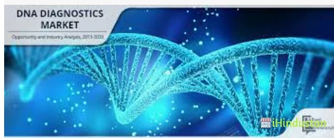 Indo DNA Diagnostics Labs - Logo