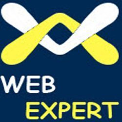 indorewebexpert - Logo
