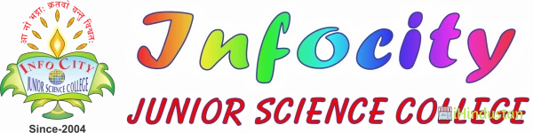 Infocity School - Logo