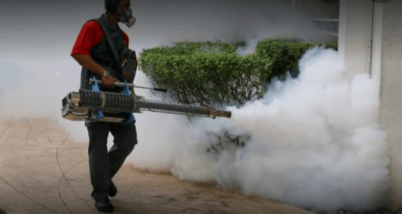 Pest Control & Insecticides Services - Cover photo