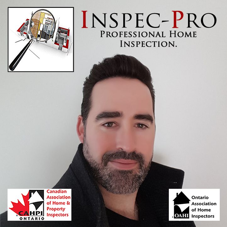 Inspec-pro - Logo
