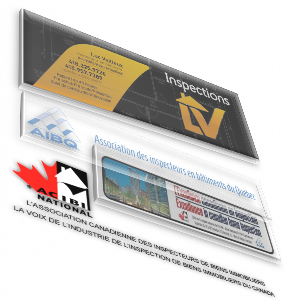 Inspection LV - Cover photo
