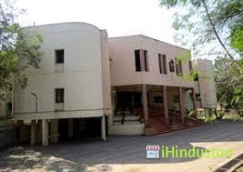 Institute of Bioinformatics and Biotechnology - Logo