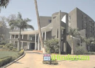 Institute of Science & Technology for Advanced Studies - Logo