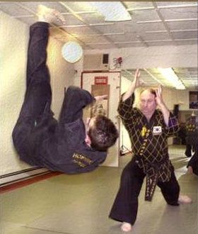 Institut International Hapkido (Fédération Hoshinkido H - Cover photo